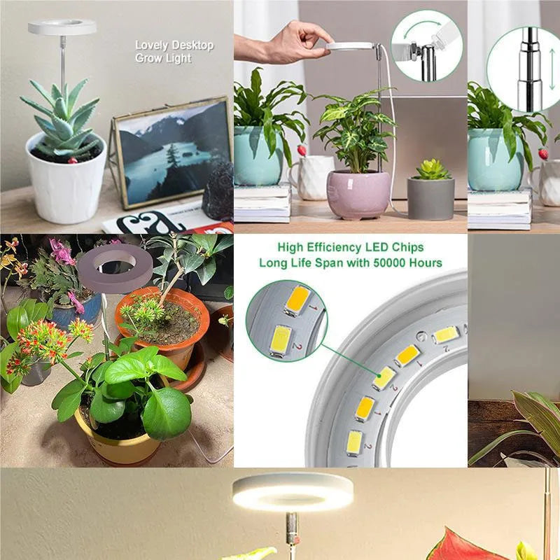 48LED Full Spectrum USB Grow Light with Timer